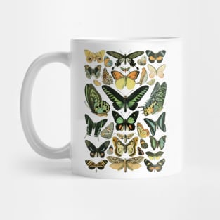 Vintage French Butterflies Mug